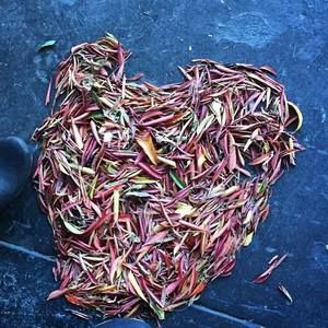 Meet your Posher, Eryn